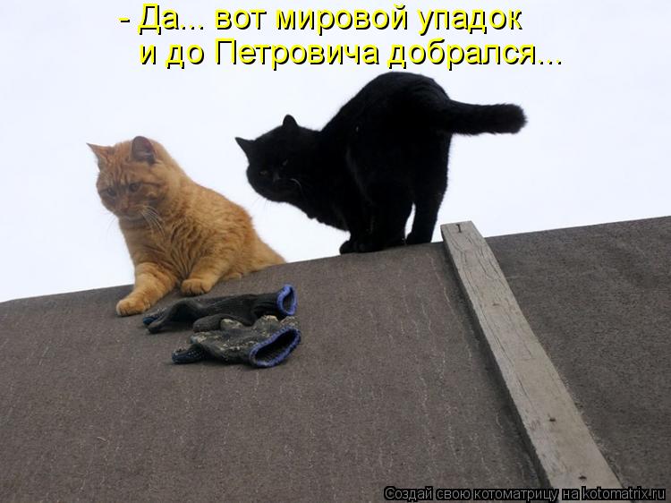 - Да... вот мировой упадок и до Петровича добрался...... Котоматрица: - Да... вот мировой упадок и до Петровича добрался...