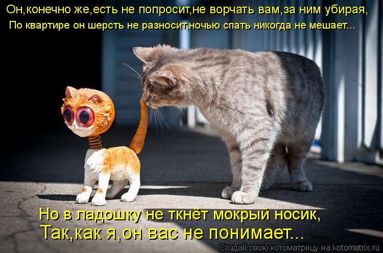 Он,конечно же,есть не попросит,не ворчать вам,за ним убирая, По квартире он шерсть не разносит,ночью ... Котоматрица: Он,конечно же,есть не попросит,не ворчать вам,за ним убирая, По квартире он шерсть не разносит,ночью спать никогда не мешает... Но в ладошку н