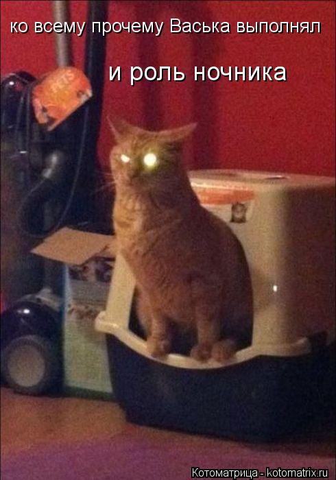 ко всему прочему Васька выполнял и роль ночника... Котоматрица: ко всему прочему Васька выполнял и роль ночника