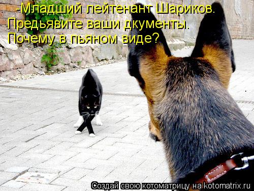 -Младший лейтенант Шариков. Предьявите ваши дкументы. Почему в пьяном виде?... Котоматрица: -Младший лейтенант Шариков. Предьявите ваши дкументы. Почему в пьяном виде?