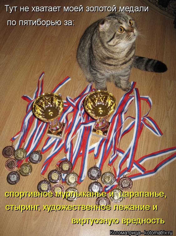 Тут не хватает моей золотой медали по пятиборью за: спортивное мурлыканье и царапанье, стыринг, худ... Котоматрица: Тут не хватает моей золотой медали по пятиборью за: спортивное мурлыканье и царапанье, стыринг, художественное лежание и виртуозную вред