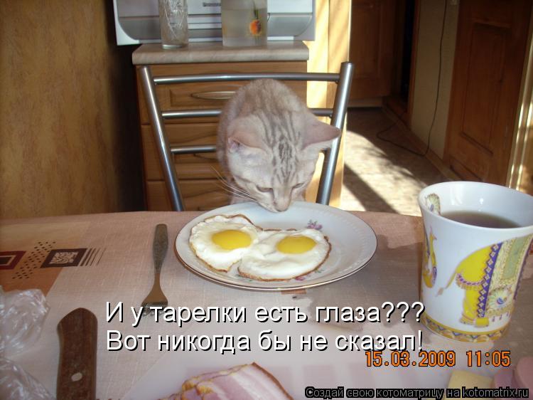 Котоматрица: И у тарелки есть глаза??? Вот никогда бы не сказал!