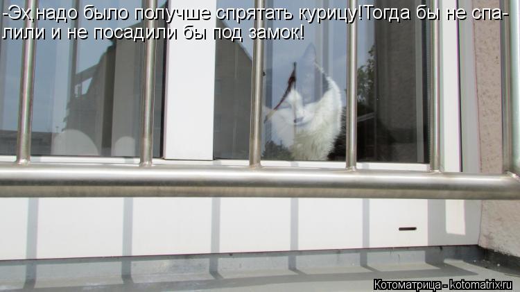 -Эх,надо было получше спрятать курицу!Тогда бы не спа- лили и не посадили бы под замок!... Котоматрица: -Эх,надо было получше спрятать курицу!Тогда бы не спа- лили и не посадили бы под замок!