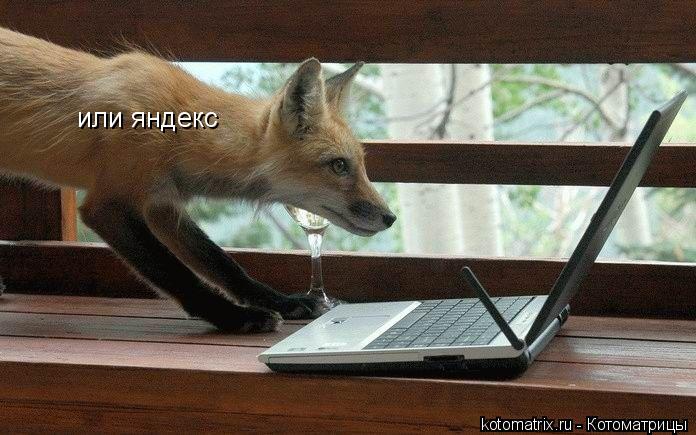 Котоматрица: или яндекс