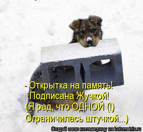 - Открытка на память! Подписана Жучкой! (Я рад, что ОДНОЙ (!) Ограничилась штучкой...)... Котоматрица: - Открытка на память! Подписана Жучкой! (Я рад, что ОДНОЙ (!) Ограничилась штучкой...)