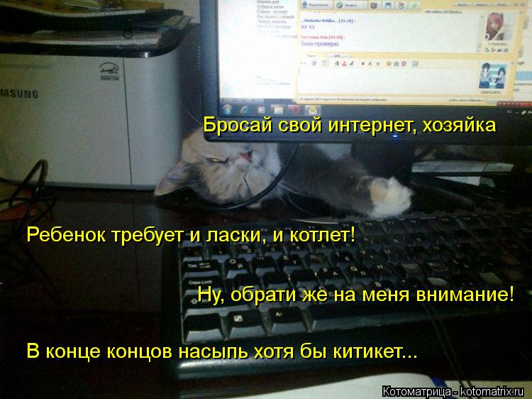 Бросай свой интернет, хозяйка Ребенок требует и ласки, и котлет! Ну, обрати же на меня внимание! В ко... Котоматрица: Бросай свой интернет, хозяйка Ребенок требует и ласки, и котлет! Ну, обрати же на меня внимание! В конце концов насыпь хотя бы китикет...