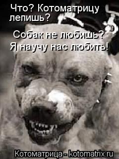 Что? Котоматрицу лепишь? Собак не любишь? Я научу нас любить!... Котоматрица: Что? Котоматрицу лепишь? Собак не любишь? Я научу нас любить!