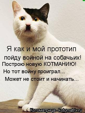 Я как и мой прототип пойду войной на собачьих! Построю новую КОТМАНИЮ! Но тот войну проиграл... Може... Котоматрица: Я как и мой прототип пойду войной на собачьих! Построю новую КОТМАНИЮ! Но тот войну проиграл... Может не стоит и начинать...