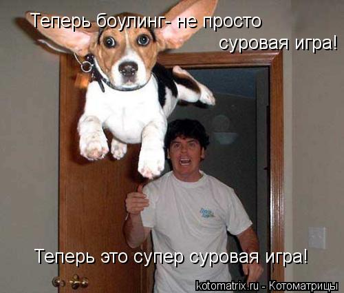 Котоматрица: Теперь боулинг- не просто  суровая игра! Теперь это супер суровая игра!