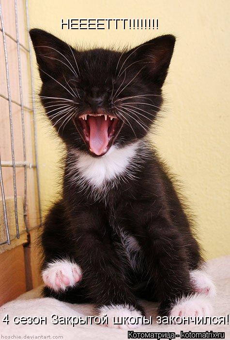 НЕЕЕЕТТТ!!!!!!!! 4 сезон Закрытой школы закончился!... Котоматрица: НЕЕЕЕТТТ!!!!!!!! 4 сезон Закрытой школы закончился!
