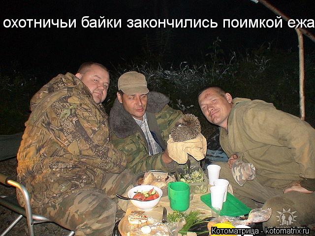 охотничьи байки закончились поимкой ежа... Котоматрица: охотничьи байки закончились поимкой ежа