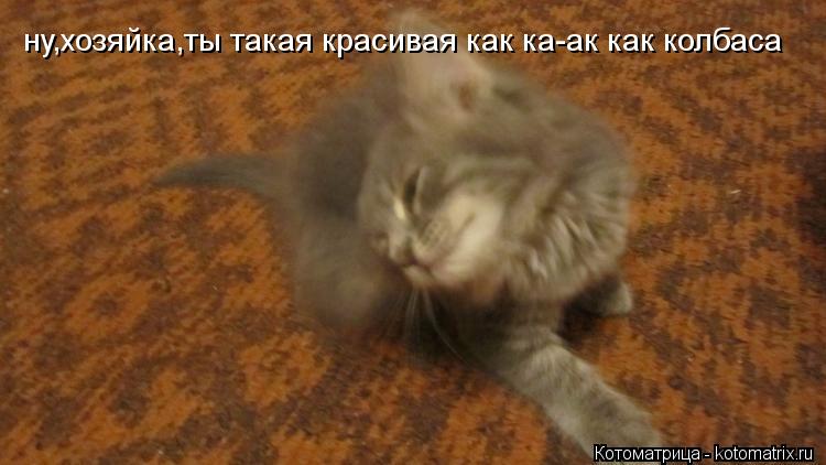 ну,хозяйка,ты такая красивая как ка-ак как колбаса... Котоматрица: ну,хозяйка,ты такая красивая как ка-ак как колбаса