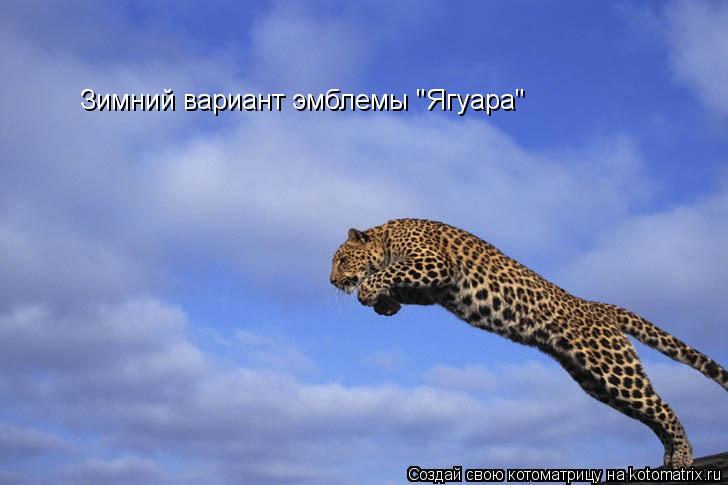 Зимний вариант эмблемы "Ягуара"... Котоматрица: Зимний вариант эмблемы "Ягуара"