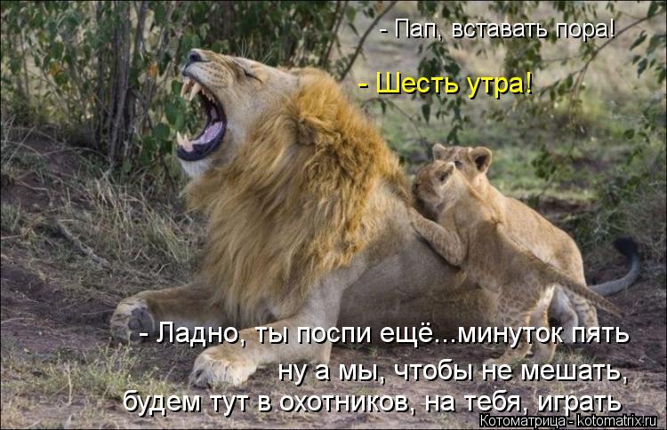 - Пап, вставать пора! - Шесть утра! - Ладно, ты поспи ещё...минуток пять ну а мы, чтобы не мешать, бу... Котоматрица: - Пап, вставать пора! - Шесть утра! - Ладно, ты поспи ещё...минуток пять ну а мы, чтобы не мешать, будем тут в охотников, на тебя, играть