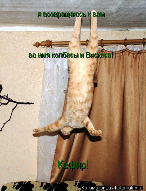 я возвращаюсь к вам во имя колбасы и Вискаса! Кефир!... Котоматрица: я возвращаюсь к вам во имя колбасы и Вискаса! Кефир!