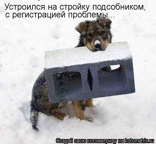 Устроился на стройку подсобником, с регистрацией проблемы...... Котоматрица: Устроился на стройку подсобником, с регистрацией проблемы...