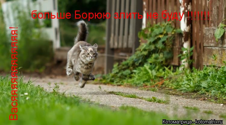 Васяяяяяяяяяяяя! больше Борюю злить не буду !!!!!!!... Котоматрица: Васяяяяяяяяяяяя! больше Борюю злить не буду !!!!!!!