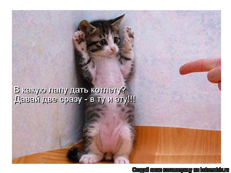 В какую лапу дать котлету? Давай две сразу - в ту и эту!!!... Котоматрица: В какую лапу дать котлету? Давай две сразу - в ту и эту!!!