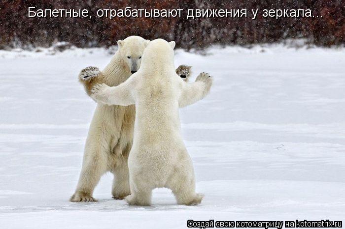 Балетные, отрабатывают движения у зеркала...... Котоматрица: Балетные, отрабатывают движения у зеркала...