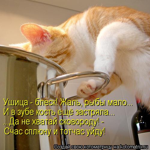 Котоматрица: Ушица - блеск! Жаль, рыбы мало... И в зубе кость ещё застряла... ...Да не хватай сковороду! - Счас сплюну и тотчас уйду!