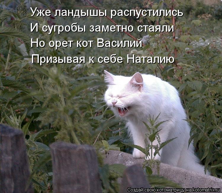 Уже ландышы распустились И сугробы заметно стаяли Но орет кот Василий Призывая к себе Наталию... Котоматрица: Уже ландышы распустились И сугробы заметно стаяли Но орет кот Василий Призывая к себе Наталию