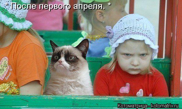 * После первого апреля. *... Котоматрица: * После первого апреля. *