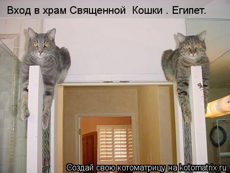 Вход в храм Священной Кошки . Египет.... Котоматрица: Вход в храм Священной Кошки . Египет.