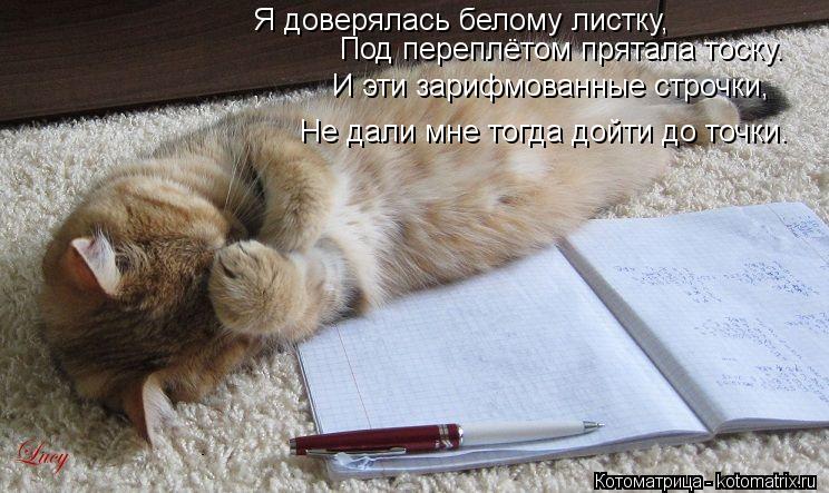 Я доверялась белому листку, Под переплётом прятала тоску. И эти зарифмованные строчки, Не дали мне то... Котоматрица: Я доверялась белому листку, Под переплётом прятала тоску. И эти зарифмованные строчки, Не дали мне тогда дойти до точки.