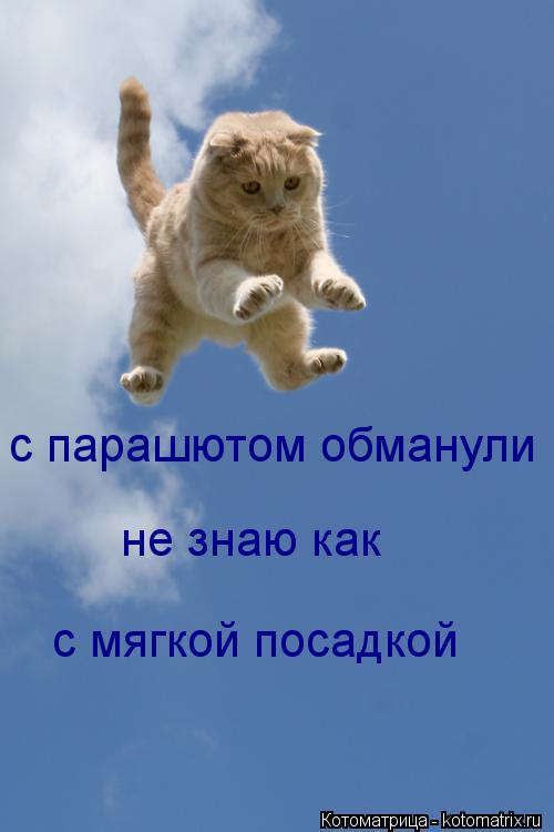 с парашютом обманули не знаю как с мягкой посадкой... Котоматрица: с парашютом обманули не знаю как с мягкой посадкой