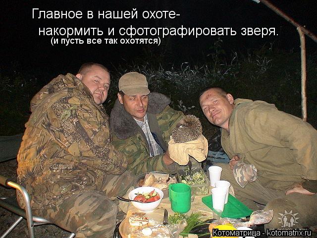 накормить и сфотографировать зверя. (и пусть все так охотятся) Главное в нашей охоте-... Котоматрица: накормить и сфотографировать зверя. (и пусть все так охотятся) Главное в нашей охоте-