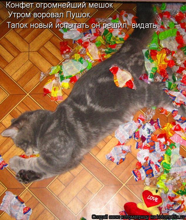 Конфет огромнейший мешок Утром воровал Пушок. Тапок новый испытать он решил, видать.... Котоматрица: Конфет огромнейший мешок Утром воровал Пушок. Тапок новый испытать он решил, видать.