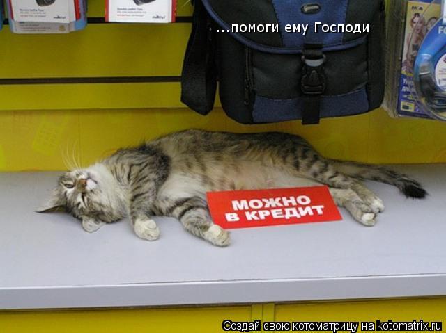 ...помоги ему Господи... Котоматрица: ...помоги ему Господи