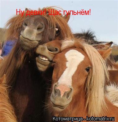 Ну девки! Щас гульнём!... Котоматрица: Ну девки! Щас гульнём!