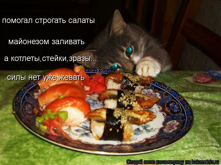 майонезом заливать помогал строгать салаты а котлеты,стейки,зразы... силы нет уже жевать... Котоматрица: майонезом заливать помогал строгать салаты а котлеты,стейки,зразы... силы нет уже жевать