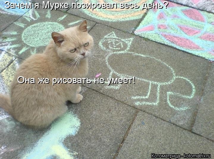 Зачем я Мурке позировал весь день? Она же рисовать не умеет!... Котоматрица: Зачем я Мурке позировал весь день? Она же рисовать не умеет!