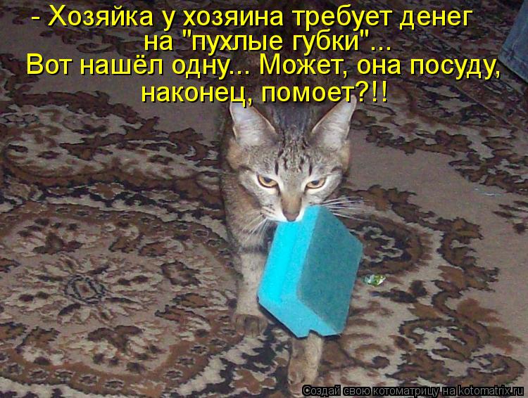 Котоматрица: - Хозяйка у хозяина требует денег  на "пухлые губки"... Вот нашёл одну... Может, она посуду, наконец, помоет?!!