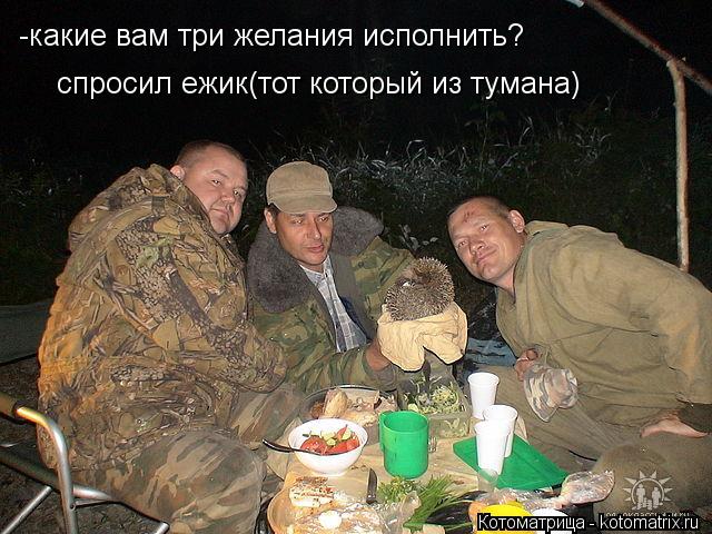 -какие вам три желания исполнить? спросил ежик(тот который из тумана)... Котоматрица: -какие вам три желания исполнить? спросил ежик(тот который из тумана)