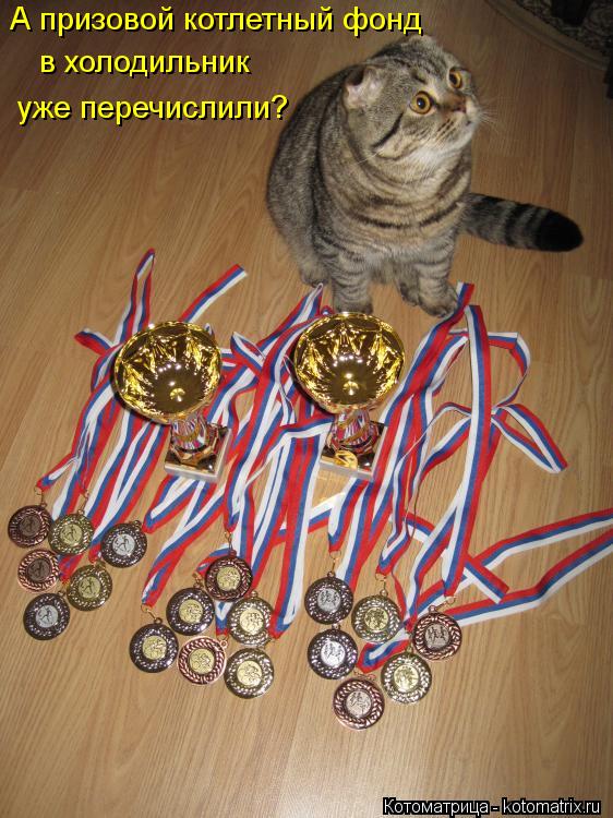 А призовой котлетный фонд в холодильник уже перечислили?... Котоматрица: А призовой котлетный фонд в холодильник уже перечислили?
