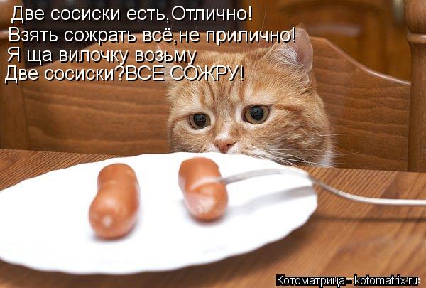 Две сосиски есть,Отлично! Взять сожрать всё,не прилично! Я ща вилочку возьму Две сосиски?ВСЕ СОЖРУ!... Котоматрица: Две сосиски есть,Отлично! Взять сожрать всё,не прилично! Я ща вилочку возьму Две сосиски?ВСЕ СОЖРУ!