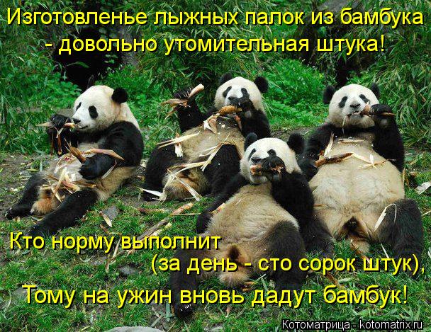Изготовленье лыжных палок из бамбука - довольно утомительная штука! Кто норму выполнит (за день - с... Котоматрица: Изготовленье лыжных палок из бамбука - довольно утомительная штука! Кто норму выполнит (за день - сто сорок штук), Тому на ужин вновь дадут