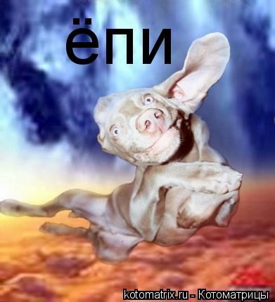 Котоматрица: ёпи
