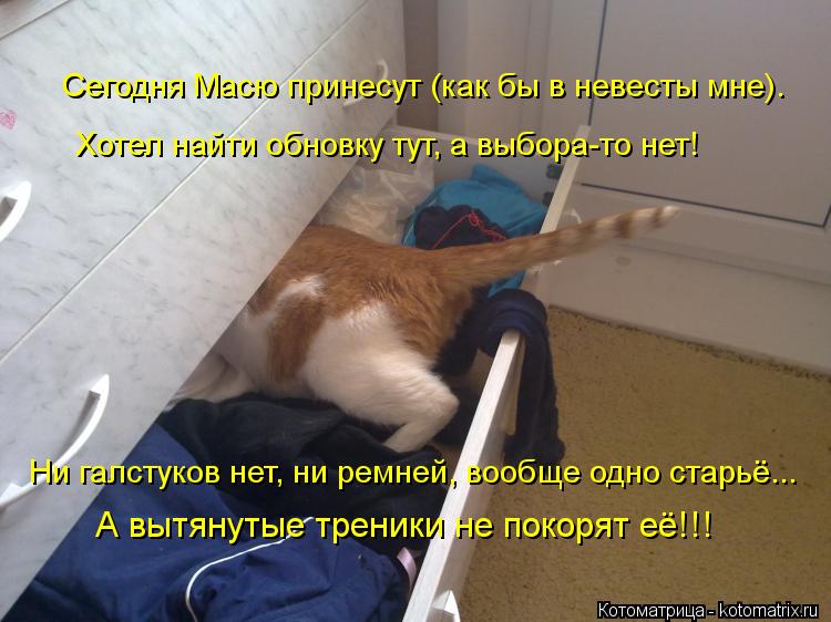 Хотел найти обновку тут, а выбора-то нет! Сегодня Масю принесут (как бы в невесты мне). А вытянутые т... Котоматрица: Хотел найти обновку тут, а выбора-то нет! Сегодня Масю принесут (как бы в невесты мне). А вытянутые треники не покорят её!!! Ни галстуков нет, н