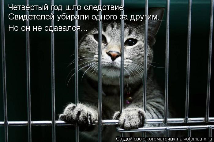Четвёртый год шло следствие . Свидетелей убирали одного за другим. Но он не сдавался...... Котоматрица: Четвёртый год шло следствие . Свидетелей убирали одного за другим. Но он не сдавался...