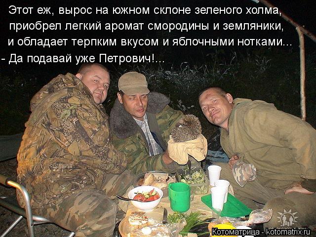 Этот еж, вырос на южном склоне зеленого холма, приобрел легкий аромат смородины и земляники, и облада... Котоматрица: Этот еж, вырос на южном склоне зеленого холма, приобрел легкий аромат смородины и земляники, и обладает терпким вкусом и яблочными нотками..