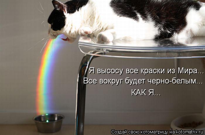Я высосу все краски из Мира... Все вокруг будет черно-белым... КАК Я...... Котоматрица: Я высосу все краски из Мира... Все вокруг будет черно-белым... КАК Я...