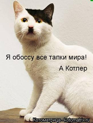 Я обоссу все тапки мира! А Котлер... Котоматрица: Я обоссу все тапки мира! А Котлер