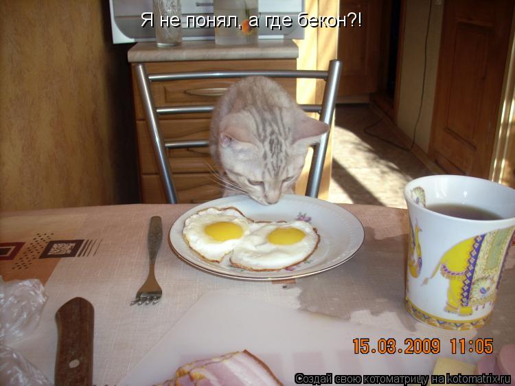 Я не понял, а где бекон?!... Котоматрица: Я не понял, а где бекон?!