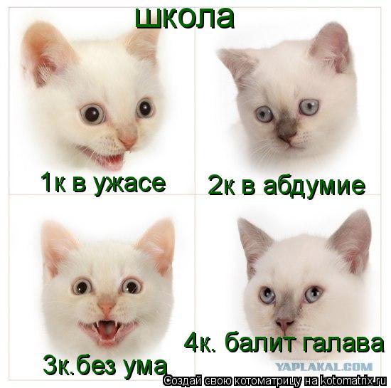 Котоматрица: школа 1к в ужасе 2к в абдумие 3к.без ума 4к. балит галава