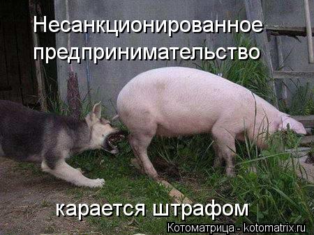 Несанкционированное предпринимательство карается штрафом... Котоматрица: Несанкционированное предпринимательство карается штрафом