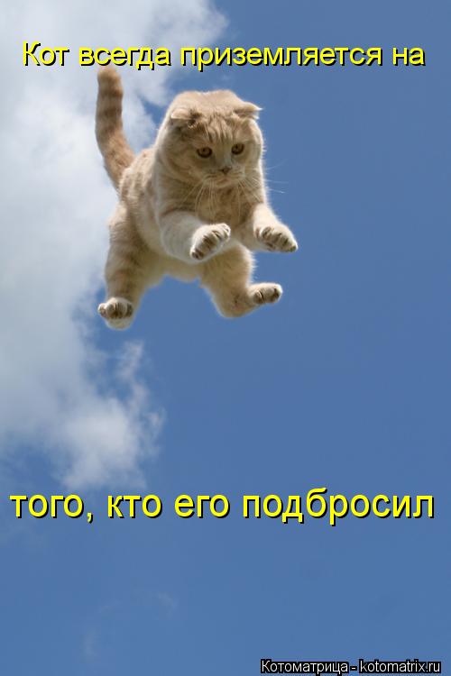Кот всегда приземляется на того, кто его подбросил... Котоматрица: Кот всегда приземляется на того, кто его подбросил